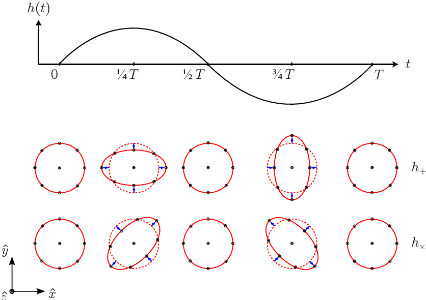 一束沿 zz 方向传播的单色、稳定频率的引力波 (角频率: \omega=2\pi/T\omega=2\pi/T)
